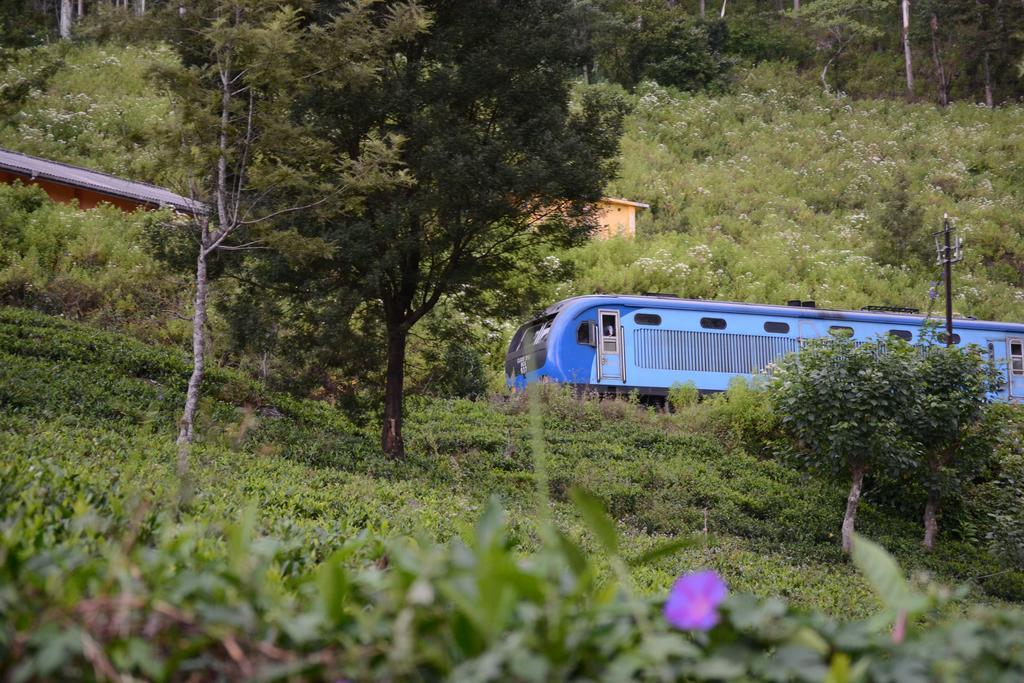 Hotel Peak Rest Haputale Exterior foto